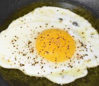 egg-7663954_1280.jpg width: 100%; height : 150px